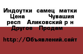 Индоутки 1самец 2матки › Цена ­ 1 000 - Чувашия респ., Аликовский р-н Другое » Продам   
